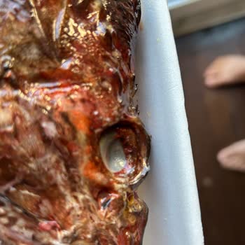 Migros Sanal Market’te Eksik Ve Bozuk Ürün, Çözülmeyen Talepler Ve Ücret İadesi Sorunu