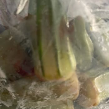 Bozuk Bamya Ve Eksik Barbunya Siparişi İçin Ücret İadesi Talebi