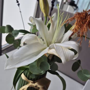 Sipariş Edilen Lilyumlar Solmuş Ve Görselle Uyuşmuyor, Ücret İadesi Bekliyorum