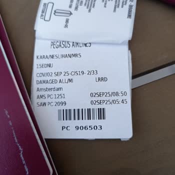 Pegasus Havayolları'nda Gecikmeli Uçuş Ve Kayıp Valiz Mağduriyeti