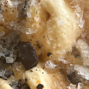 Dondurmada Koruyucu Jelatin Eksikliği Ve Hijyen Sorunu