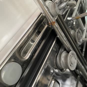 Bulaşık Makinesinde Paslanma Ve Yetersiz Servis Hizmeti