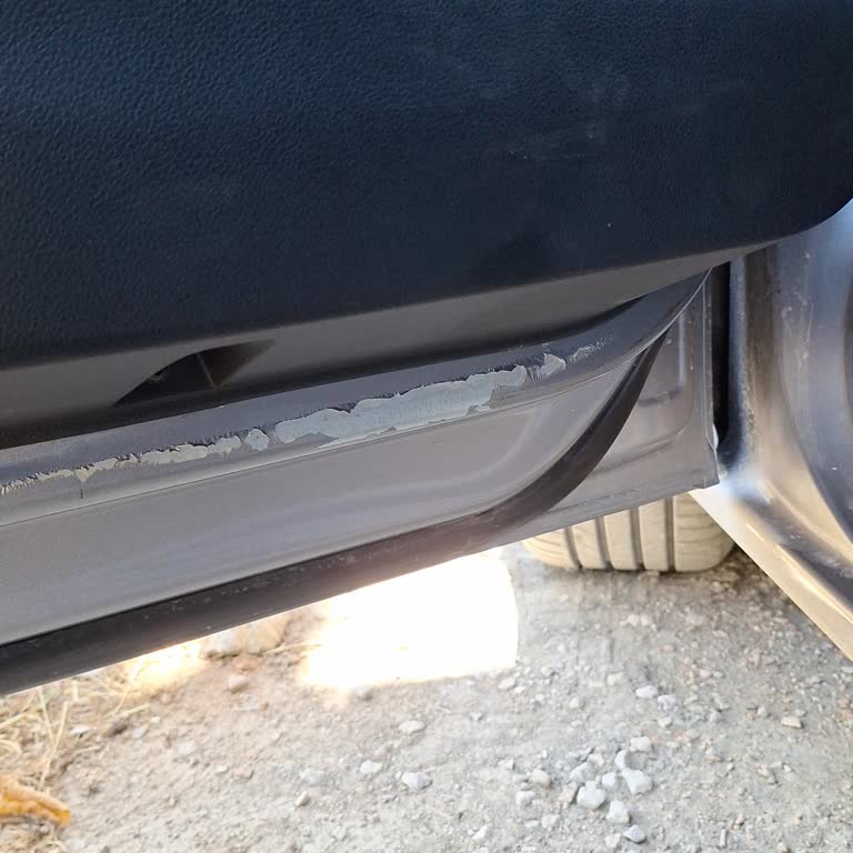 Toyota Proace City'de Garanti Kapsamında Boya Kabarcığı Sorunu Ve Çözüm Talebi