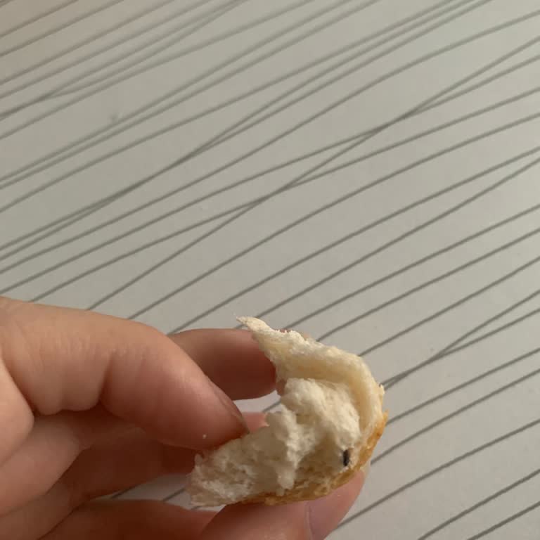 A101’den Aldığım Ekmeğin İçinden Böcek Çıktı, Hijyen Konusunda Endişeliyim