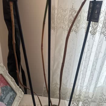 Hediye Orkide Birkaç Gün İçinde Sarardı Hayal Kırıklığı Yaşadım