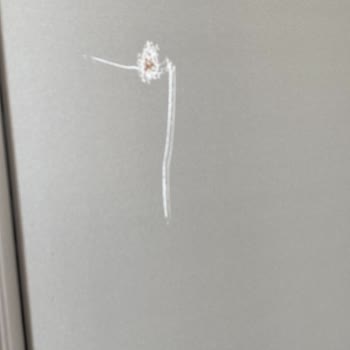 Hisar Mobilya’dan Eksik Ve Kırık Düğün Paketi Mağduriyeti