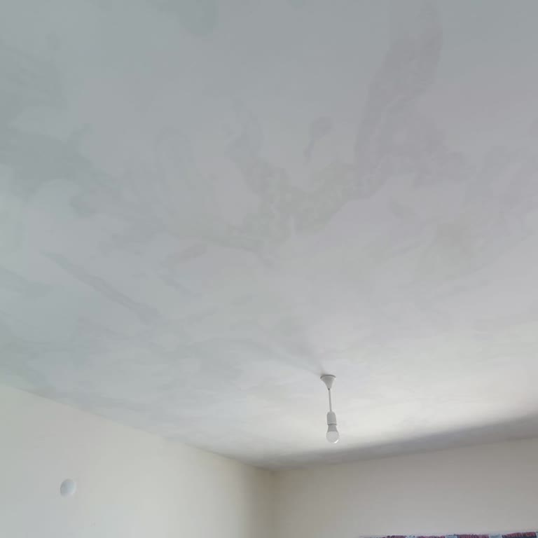 TOKİ Konutun Tavanında Su Sızıntıları Mevcut