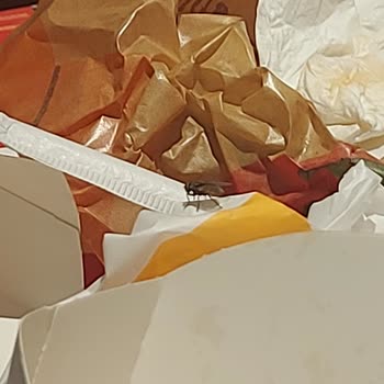 Burger King Şubesinde Hijyen Ve Ortam Sorunlarıyla Karşılaştım