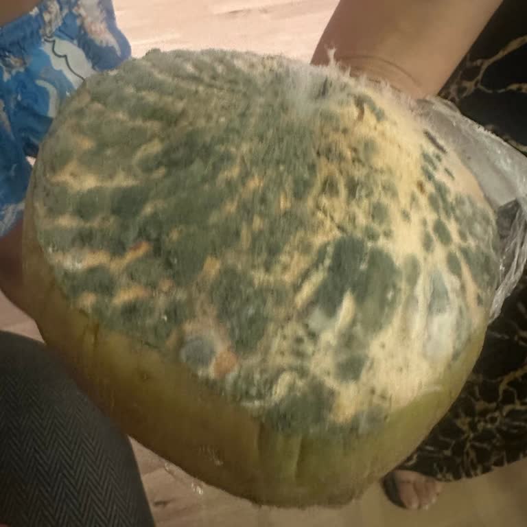 Teslim Edilen Hindistan Cevizi Küflü Çıktı, Mağduriyet Yaşadım