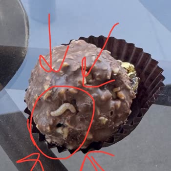 Sevdiğim Çikolatanın İçinden Çıkan Kurt Şaşkınlığı