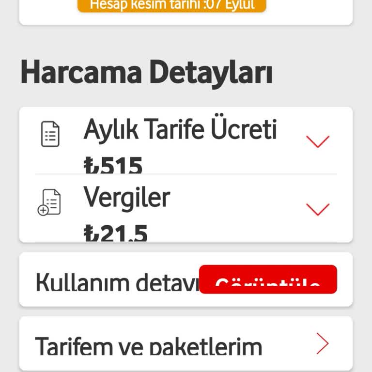 Faturam Yüksek Geliyor, Uygun Tarife Sunulmuyor Destek Bekliyorum