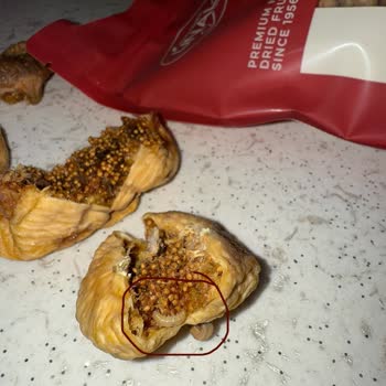 Aldığım Kuru İncirler Kurtlu Ve Çürük Çıktı, Ücret İadesi İstiyorum