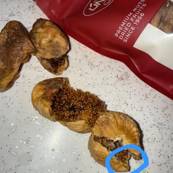 Aldığım Kuru İncirler Kurtlu Ve Çürük Çıktı, Ücret İadesi İstiyorum