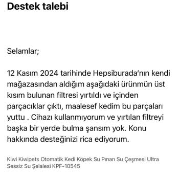 Kedi Su Pınarı Filtre Sorunu: Sağlıksız Ürün Ve Yedek Parça Krizi