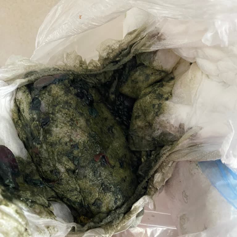 Bebek Mamasında Kötü Koku Ve Sağlık Sorunu, İade Yapılmıyor