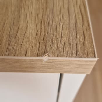 Hasarlı Konsol, İlgisiz Servis: Çözüm Bekliyoruz!