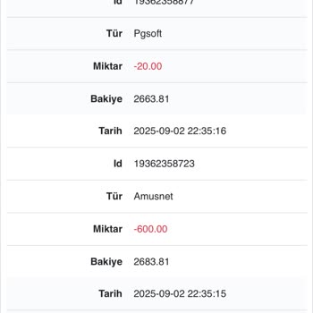 Slot Oyununda Bakiyem Aniden Sıfırlandı, Müşteri Hizmetleri Yardımcı Olmadı