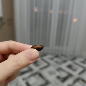 Küflü Ve Acı Antep Fıstığı Mağduriyeti Yaşadık, Ürün Değişimi İstiyoruz