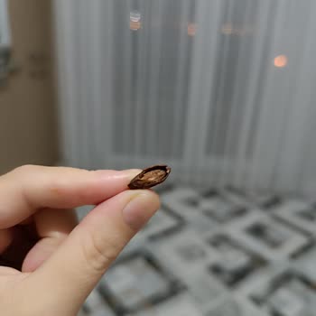 Küflü Ve Acı Antep Fıstığı Mağduriyeti Yaşadık, Ürün Değişimi İstiyoruz