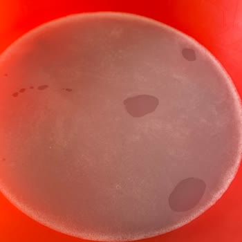 Aldığım Temizlik Hizmeti Hem Yetersizdi Hem De Fazladan Ücret Ödedim