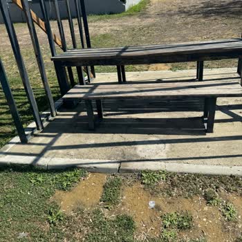 Bolluca Millet Bahçesi'nde Ağaçlar Kuruyor, Bakım Ve Sulama Yetersiz