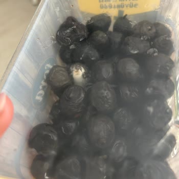 Kapalı Ambalajda Küflü Zeytin Şoku: Açıklama Bekliyorum