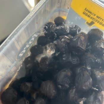 Kapalı Ambalajda Küflü Zeytin Şoku: Açıklama Bekliyorum