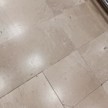 Migros Nilüfer Mağazasında Tekrarlayan Böcek ve Hijyen Sorunu