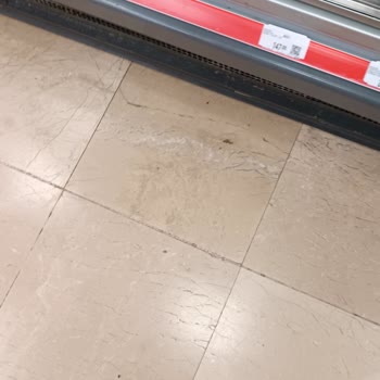 Migros Nilüfer Mağazasında Tekrarlayan Böcek ve Hijyen Sorunu