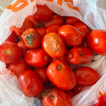 Bozuk Domatesler Ve Migros'tan 13 Gündür Yanıtsız Kalan Şikayetim