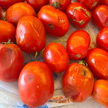 Bozuk Domatesler Ve Migros'tan 13 Gündür Yanıtsız Kalan Şikayetim