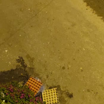 Güllük Mahallesi'nde Çöp Konteyneri Eksikliği Ve Çevre Sorunları