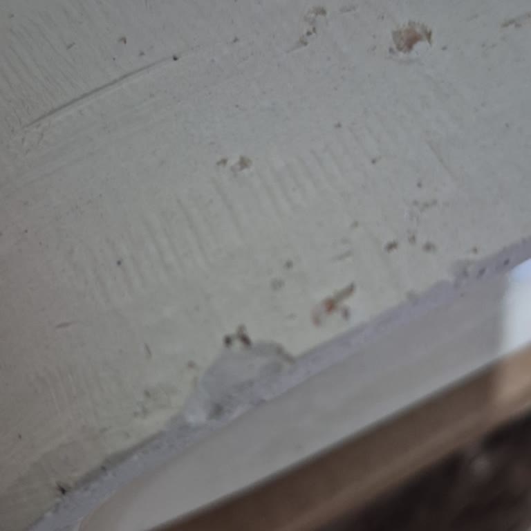 Yanlış Ve Kırık Ürün Gönderimi Sonrası Yetersiz Çözümle Mağduriyet Yaşadım