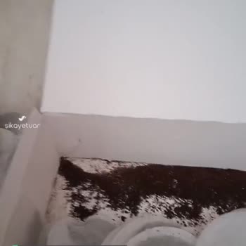 Berk Çay Fare Pisliğine Benzer Yabancı Maddeler Sorunsalı