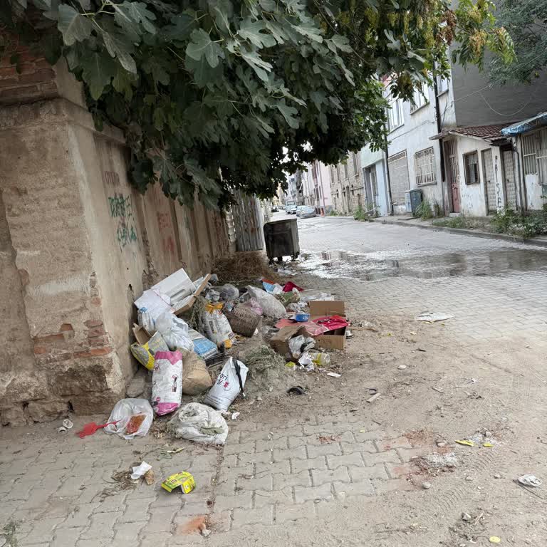 Edirne Belediyesi Mahallemizde Biriken Çöpler Sağlığımızı Tehdit Ediyor