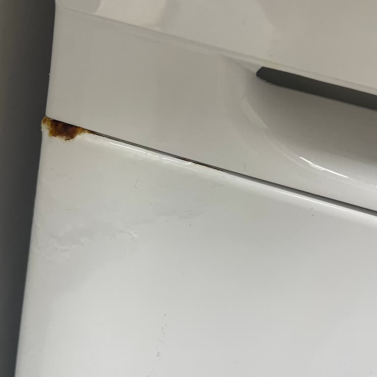 Siemens Çamaşır Makinesi Panelinde Kronik Paslanma Ve Boya Dökülmesi Sorunu