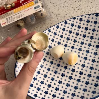 Aldığım Bıldırcın Yumurtaları Bozuk Çıktı Çocuğum Kahvaltı Edemedi