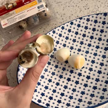 Aldığım Bıldırcın Yumurtaları Bozuk Çıktı Çocuğum Kahvaltı Edemedi