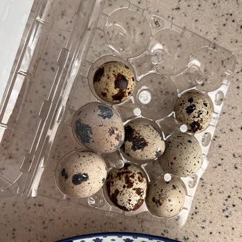 Aldığım Bıldırcın Yumurtaları Bozuk Çıktı Çocuğum Kahvaltı Edemedi