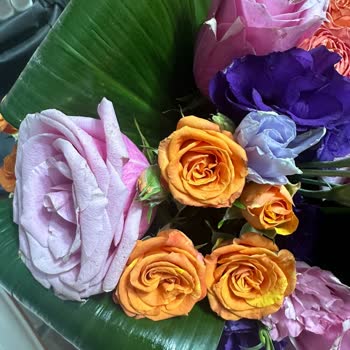 Solmuş Çiçekler Ve Yanlış Vazo İle Hayal Kırıklığı Yaşadım