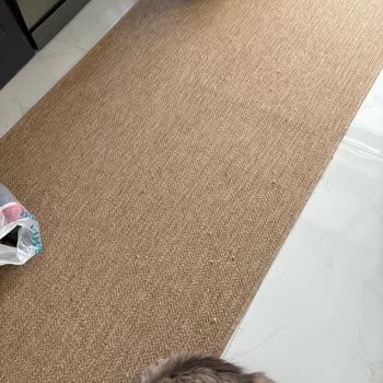 Kısa Sürede Yıpranan Halı İçin İade Talebim Reddedildi