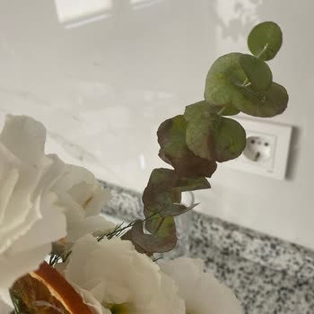 Özel Günde Solmuş Çiçek Ve Yetersiz Müşteri Hizmetiyle Hayal Kırıklığı