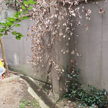 Bahçeme Yeniden Atık Su Akıyor, Kalıcı Çözüm Bekliyorum