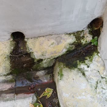 Bahçeme Yeniden Atık Su Akıyor, Kalıcı Çözüm Bekliyorum