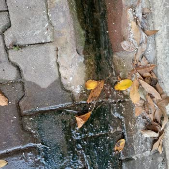 Bahçeme Yeniden Atık Su Akıyor, Kalıcı Çözüm Bekliyorum