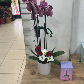 Kusurlu Çiçek Teslimatı Ve Eksik Ürün İçin Yetersiz Müşteri Hizmeti