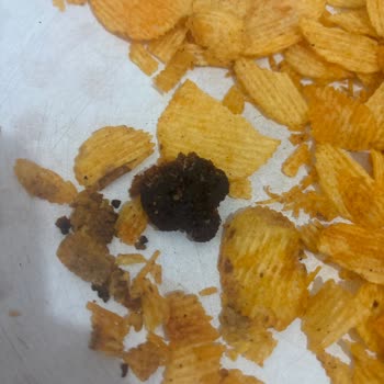 Ruffles Cipsin İçinden Çıkan Siyah Ve Sert Cisim Endişe Yarattı