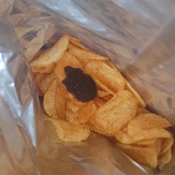 Ruffles Cipsin İçinden Çıkan Siyah Ve Sert Cisim Endişe Yarattı