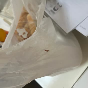 Ton Balıklı Salatada Çiğ Et Parçası Ve Hijyen Sorunu Yaşadım, İade Yapılmadı