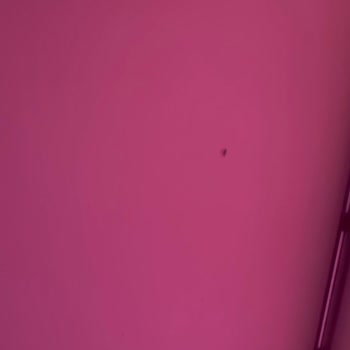 Kirli Oda Ve İlgisiz Otel-jolly Tur Desteğiyle Tatilim Zehir Oldu